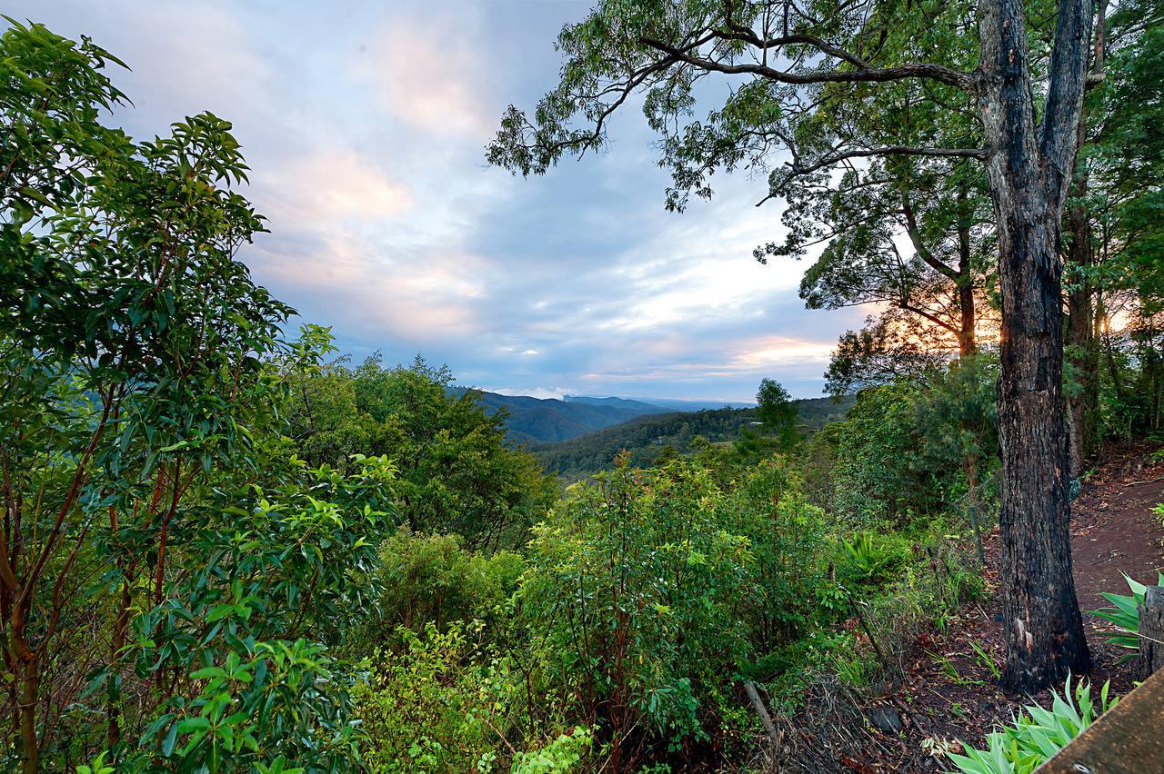 Escarpment Retreat & Day Spa For Couples Mount Tamborine Zewnętrze zdjęcie