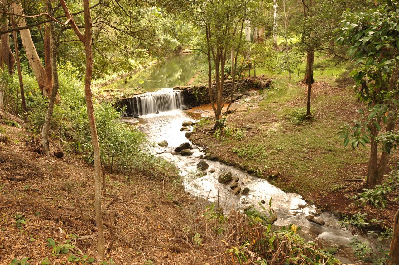 Escarpment Retreat & Day Spa For Couples Mount Tamborine Zewnętrze zdjęcie